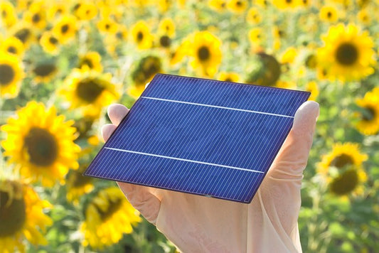 Ihre Solarzelle selber bauen und mehr Energie in Ihr Leben bringen