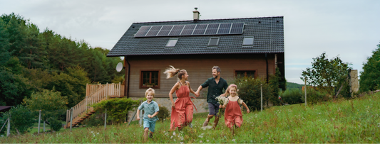 Wie viele Solarmodule benötige ich?